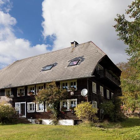 Waelder: Quartier Dachsberg Dachsberg im Schwarzwald Exterior foto
